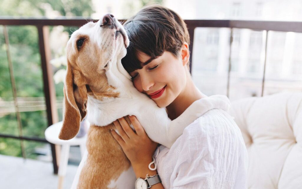 L’Importanza delle Proteine nella Dieta del Cane: Uno Sguardo Scientifico