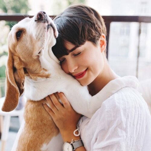 L’Importanza delle Proteine nella Dieta del Cane: Uno Sguardo Scientifico