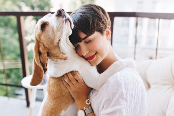 L’Importanza delle Proteine nella Dieta del Cane: Uno Sguardo Scientifico