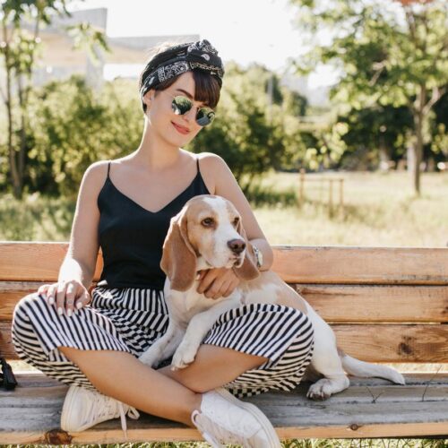 Tecniche Efficaci di Addestramento: Costruire un Rapporto Positivo con il Tuo Cane
