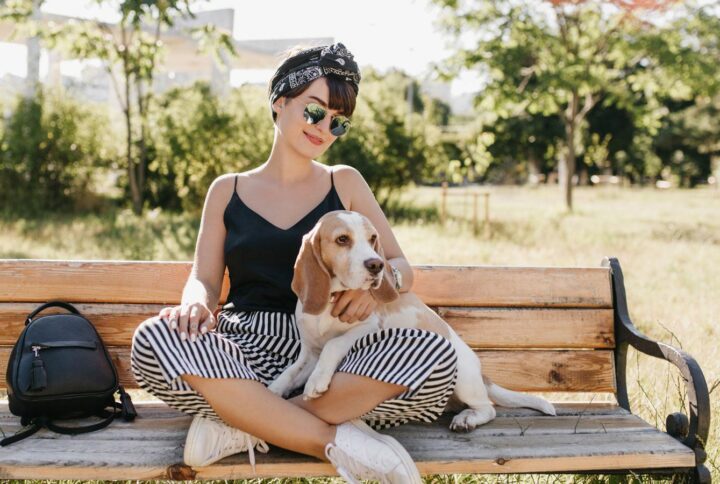 Tecniche Efficaci di Addestramento: Costruire un Rapporto Positivo con il Tuo Cane