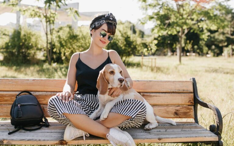 Tecniche Efficaci di Addestramento: Costruire un Rapporto Positivo con il Tuo Cane